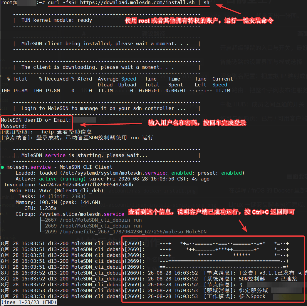 在 Linux 上一键安装 MoleSDN 客户端并登录,服务已运行