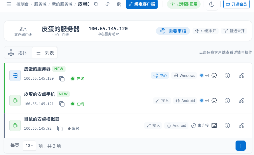 在控制台的客户端列表里查看分配到的服务域 IP