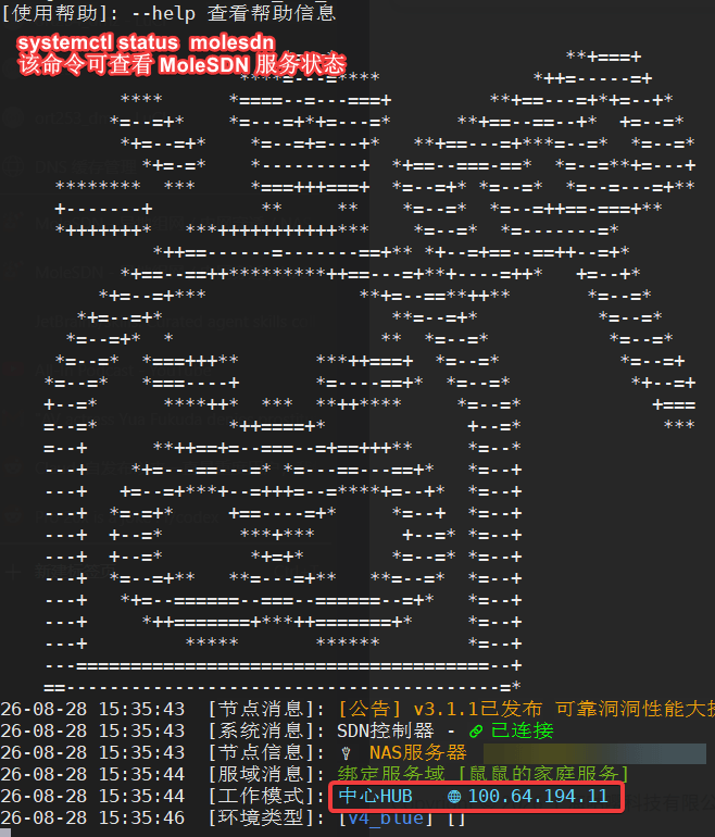 在 Linux 上用 systemctl status 查看 MoleSDN 运行状态与服务域 IP