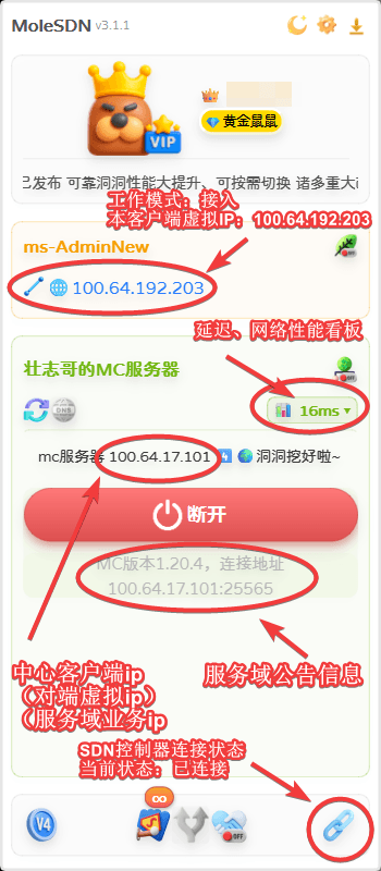 Windows 客户端已接入服务域,显示分配到的服务域 IP 与延迟
