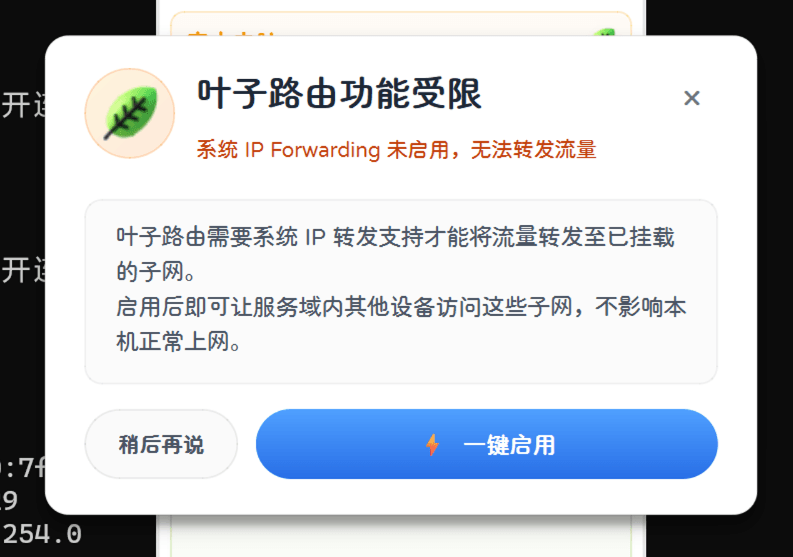 客户端提示「叶子路由功能受限,系统 IP Forwarding 未启用」,点「一键启用」开启 IP 转发