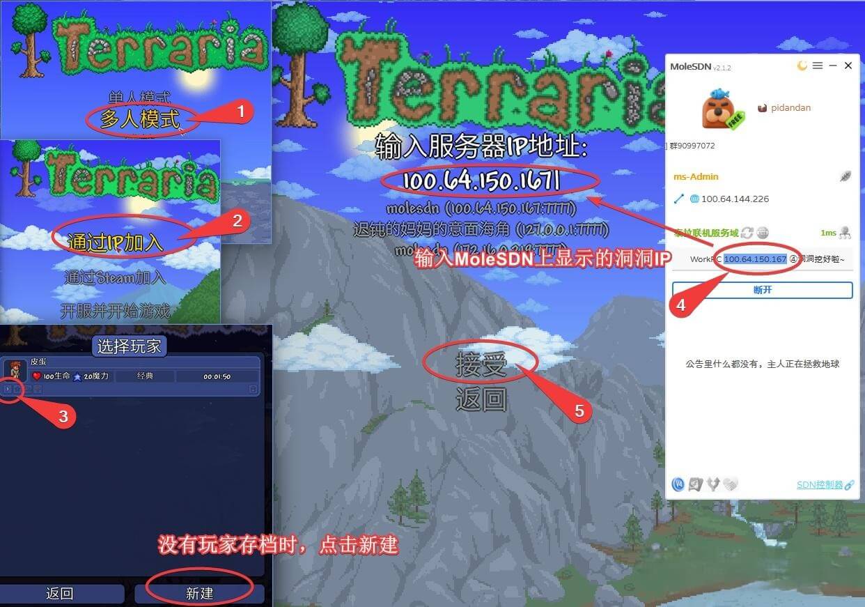 在泰拉瑞亚选「多人模式 → 通过 IP 加入」,填入 MoleSDN 客户端上显示的服务域 IP