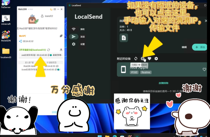 手动 IP 直连